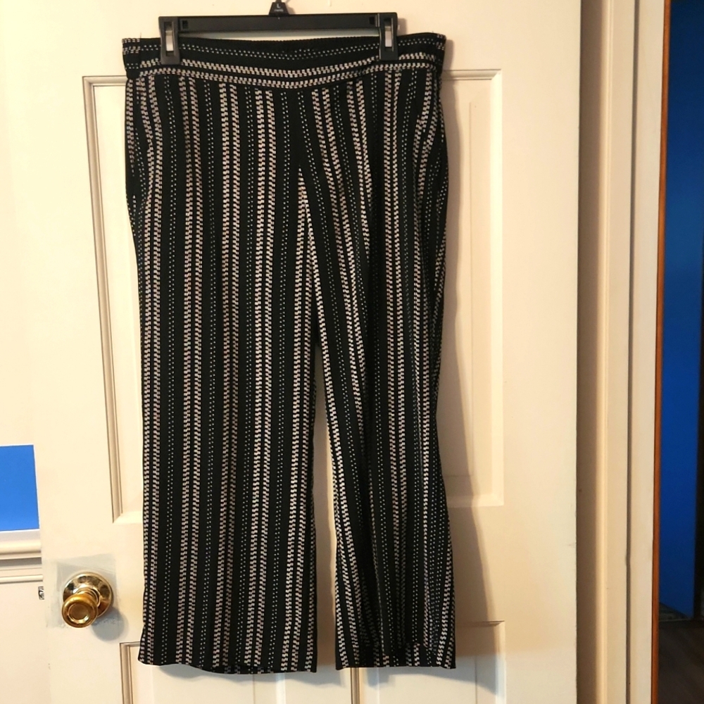 Women's Roz & Ali Capris Black/White Medium